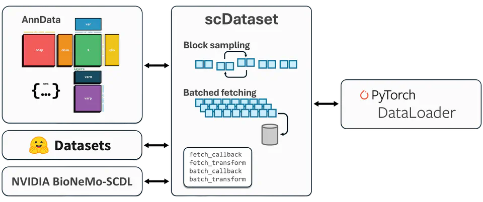 scDataset
