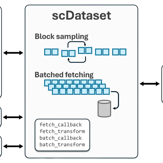 scDataset