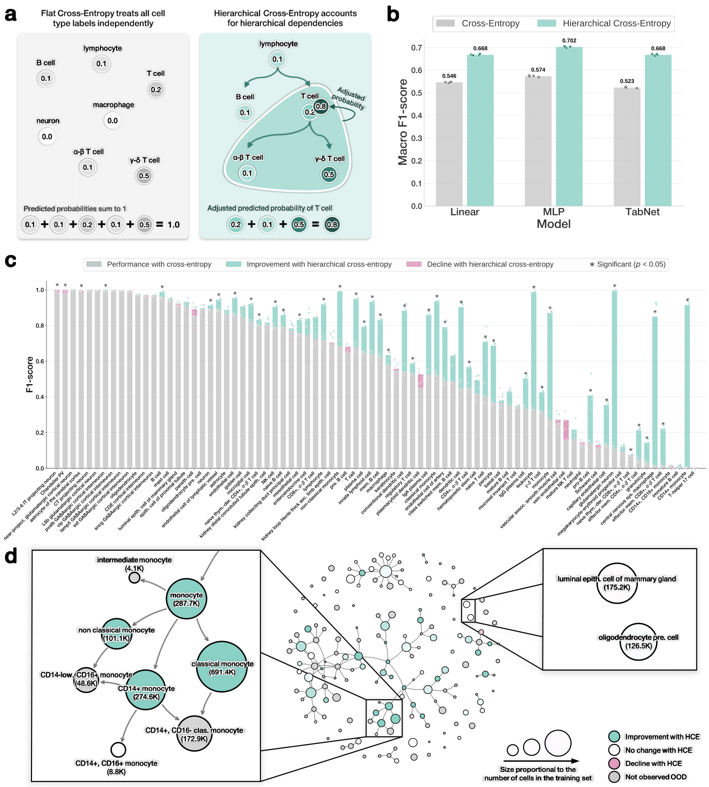 Cell Entropy Abstract Image Hierarchical cross-entropy loss improves atlas-scale single-cell ...